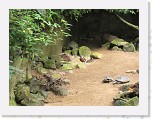 Dierentuin Burgers  Zoo 072 * 3648 x 2736 * (5.39MB)